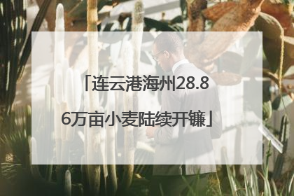 连云港海州28.86万亩小麦陆续开镰