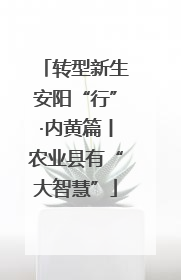 转型新生安阳“行”·内黄篇丨农业县有“大智慧”
