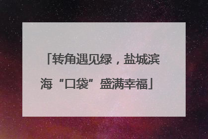转角遇见绿，盐城滨海“口袋”盛满幸福