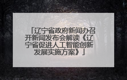 辽宁省政府新闻办召开新闻发布会解读《辽宁省促进人工智能创新发展实施方案》