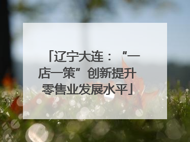 辽宁大连：“一店一策”创新提升零售业发展水平