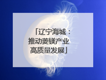 辽宁海城：推动菱镁产业高质量发展
