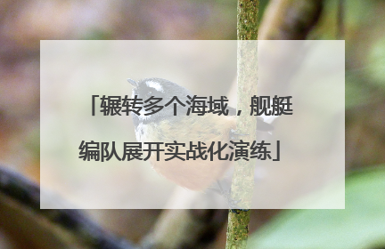 辗转多个海域，舰艇编队展开实战化演练