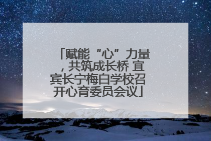 赋能“心”力量，共筑成长桥 宜宾长宁梅白学校召开心育委员会议