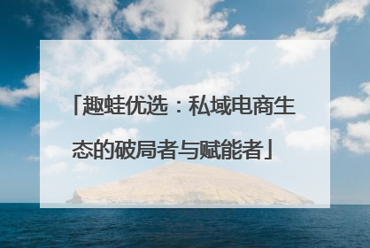 趣蛙优选：私域电商生态的破局者与赋能者