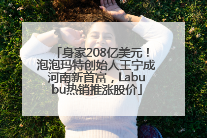 身家208亿美元！泡泡玛特创始人王宁成河南新首富，Labubu热销推涨股价