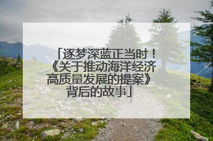 逐梦深蓝正当时！《关于推动海洋经济高质量发展的提案》背后的故事