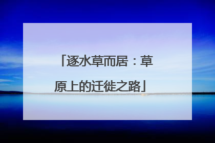 逐水草而居：草原上的迁徙之路