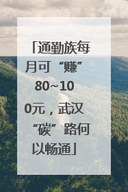 通勤族每月可“赚”80~100元，武汉“碳”路何以畅通