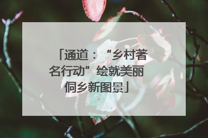 通道：“乡村著名行动”绘就美丽侗乡新图景