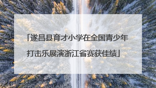 遂昌县育才小学在全国青少年打击乐展演浙江省赛获佳绩