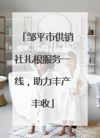 邹平市供销社扎根服务一线，助力丰产丰收