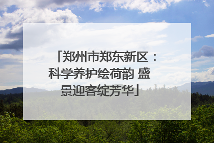 郑州市郑东新区：科学养护绘荷韵 盛景迎客绽芳华