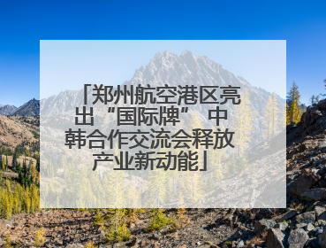 郑州航空港区亮出“国际牌” 中韩合作交流会释放产业新动能