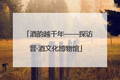 酒韵越千年——探访晋·酒文化博物馆
