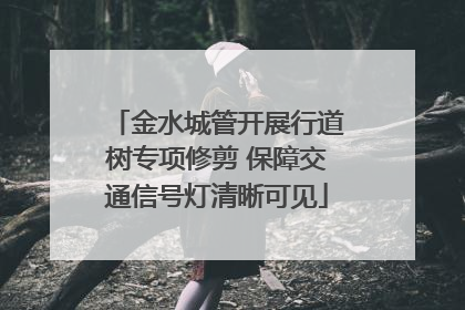 金水城管开展行道树专项修剪 保障交通信号灯清晰可见