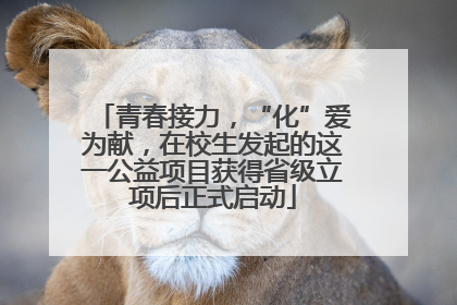 青春接力，“化”爱为献，在校生发起的这一公益项目获得省级立项后正式启动