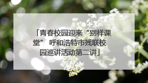青春校园迎来“别样课堂” 呼和浩特市残联校园巡讲活动第二讲