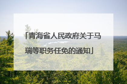 青海省人民政府关于马瑞等职务任免的通知