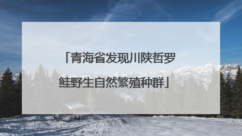 青海省发现川陕哲罗鲑野生自然繁殖种群
