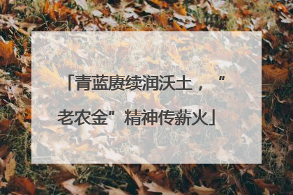 青蓝赓续润沃土，“老农金”精神传薪火
