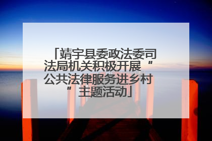 靖宇县委政法委司法局机关积极开展“公共法律服务进乡村”主题活动