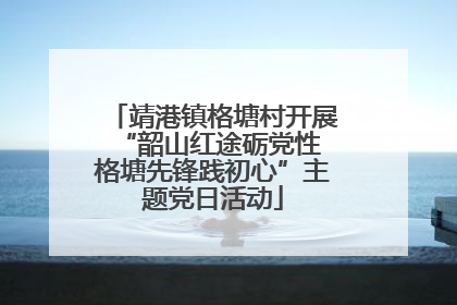 靖港镇格塘村开展“韶山红途砺党性 格塘先锋践初心”主题党日活动