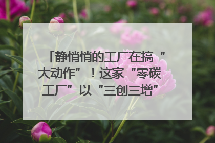 静悄悄的工厂在搞“大动作”！这家“零碳工厂”以“三创三增”探索共富新路径｜网络名人四川行