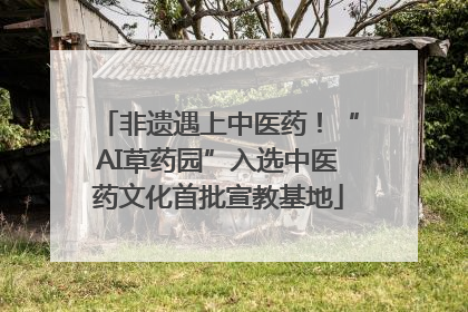 非遗遇上中医药！“AI草药园”入选中医药文化首批宣教基地