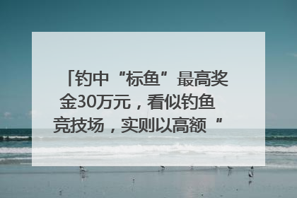 钓中“标鱼”最高奖金30万元，看似钓鱼竞技场，实则以高额“回报”作“饵”……｜今晚九点半