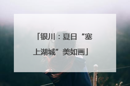 银川：夏日“塞上湖城”美如画