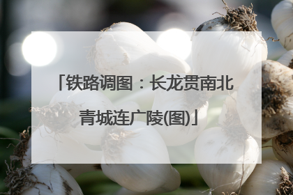 铁路调图：长龙贯南北 青城连广陵(图)