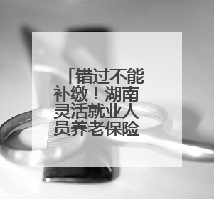 错过不能补缴！湖南灵活就业人员养老保险缴费期延长至6月底