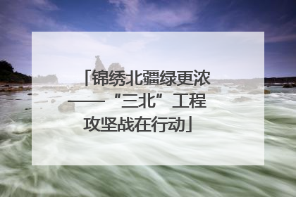 锦绣北疆绿更浓——“三北”工程攻坚战在行动