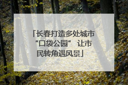长春打造多处城市“口袋公园” 让市民转角遇风景