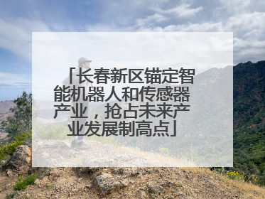 长春新区锚定智能机器人和传感器产业，抢占未来产业发展制高点