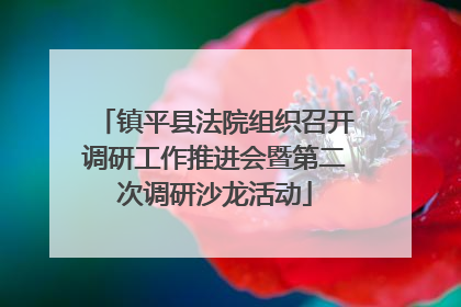 镇平县法院组织召开调研工作推进会暨第二次调研沙龙活动