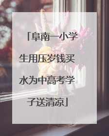 阜南一小学生用压岁钱买水为中高考学子送清凉