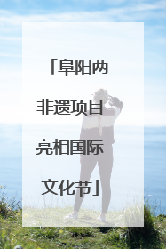 阜阳两非遗项目亮相国际文化节