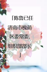 陈鲁已任济南市槐荫区委常委、组织部部长