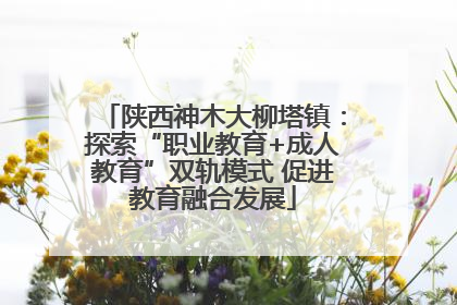 陕西神木大柳塔镇：探索“职业教育+成人教育”双轨模式 促进教育融合发展
