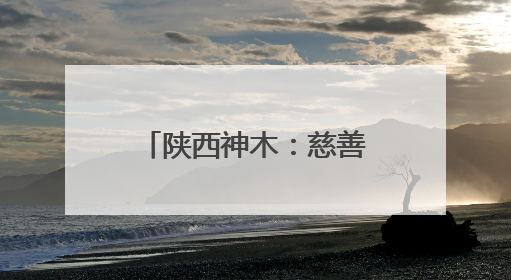 陕西神木：慈善赋能养老 绘就村社幸福图景
