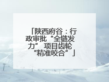 陕西府谷：行政审批“全链发力” 项目齿轮“精准咬合”