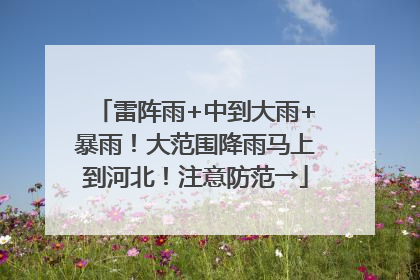 雷阵雨+中到大雨+暴雨！大范围降雨马上到河北！注意防范→