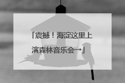 震撼！海淀这里上演森林音乐会→