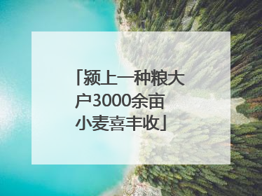 颍上一种粮大户3000余亩小麦喜丰收
