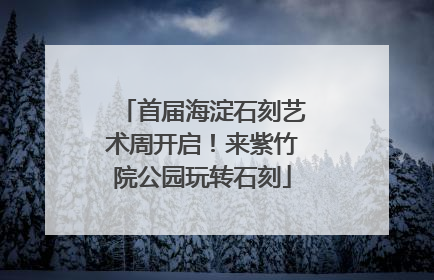 首届海淀石刻艺术周开启！来紫竹院公园玩转石刻