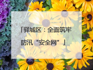 驿城区：全面筑牢防汛“安全网”