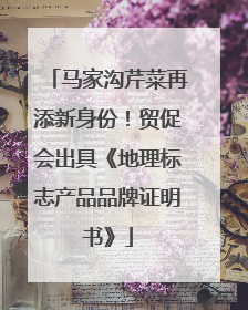 马家沟芹菜再添新身份！贸促会出具《地理标志产品品牌证明书》