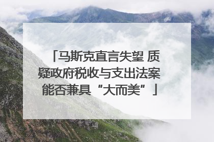 马斯克直言失望 质疑政府税收与支出法案能否兼具“大而美”